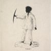 Tommy, Broken Bay Tribe by William Henry Fernyhough, c1836  SLNSW